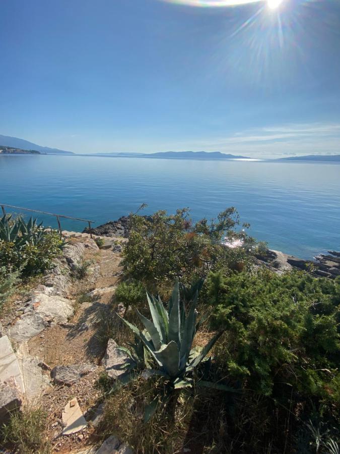 Bozica Senj *